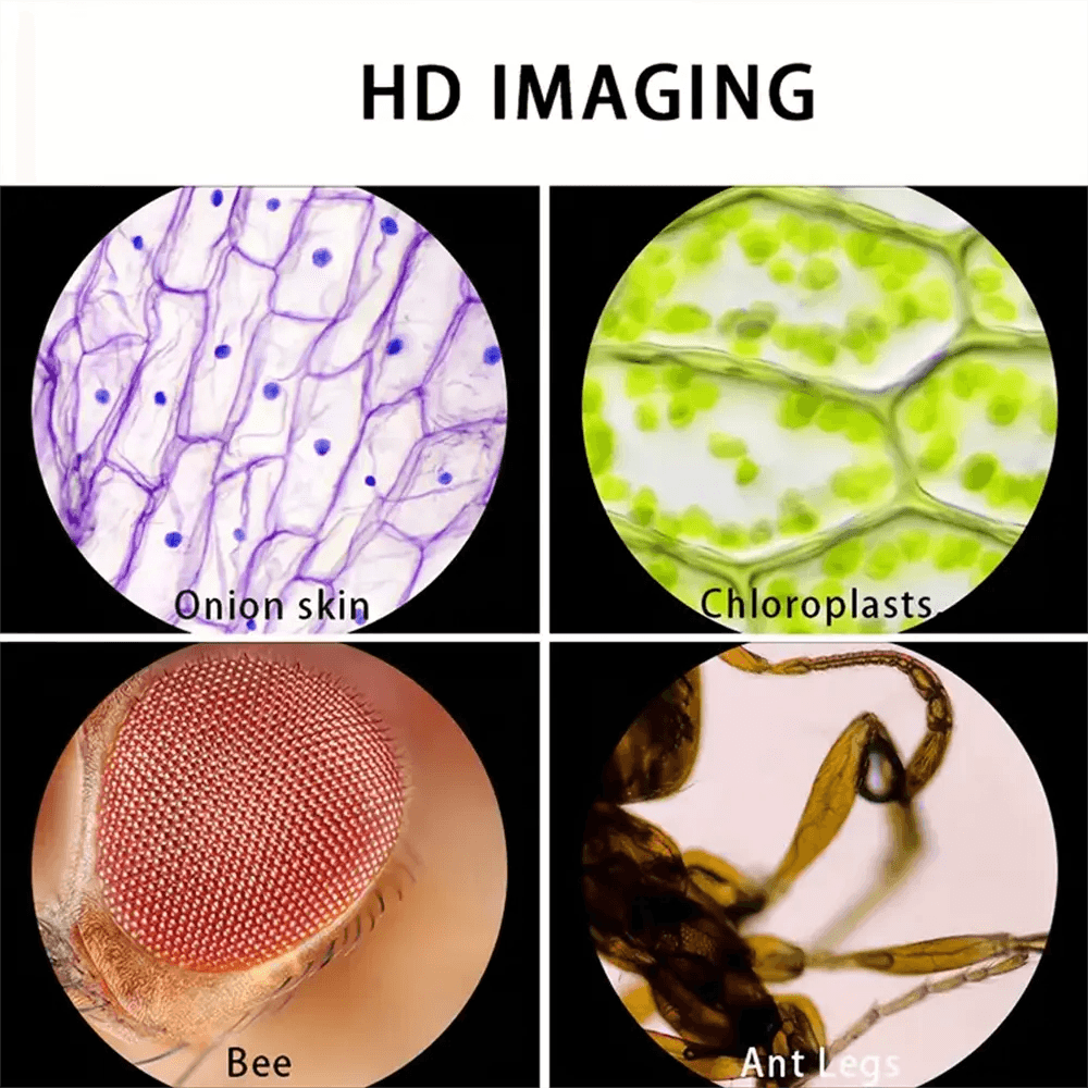 Kids Pocket Microscope Kit Keryul
