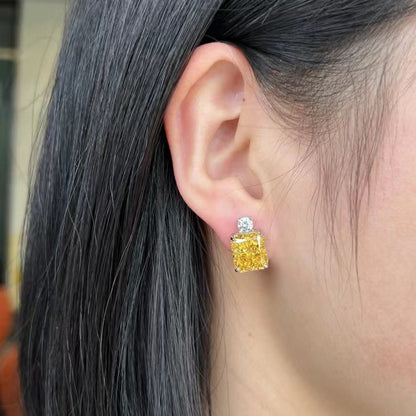 Luxury Radiant Earrings