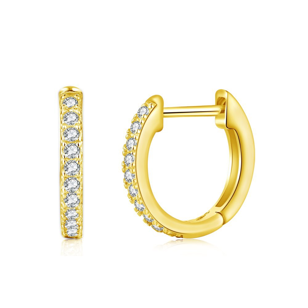 Classic Loop Earrings Hoops