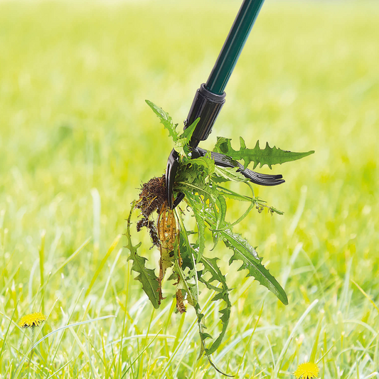 Long Handled Weed Puller